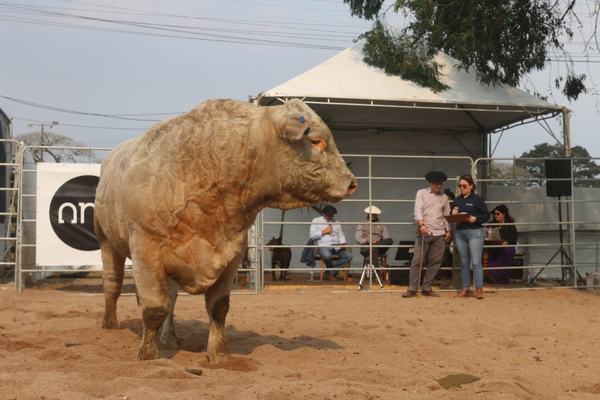 Fenagen - Quarto Dia - 03/08/2024
