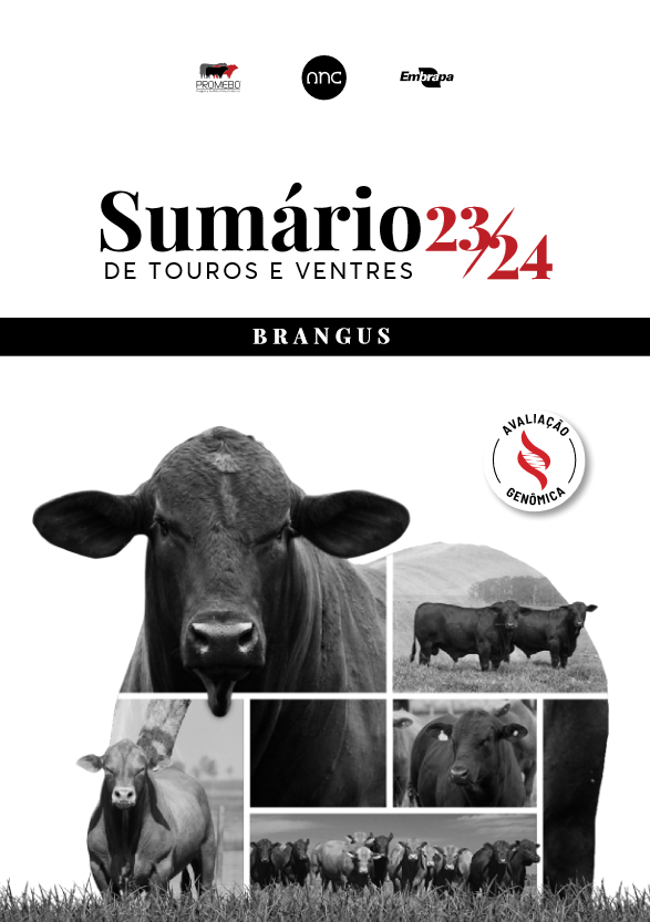 23-24 BRANGUS