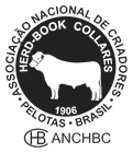 logo-05-anchbc-preto