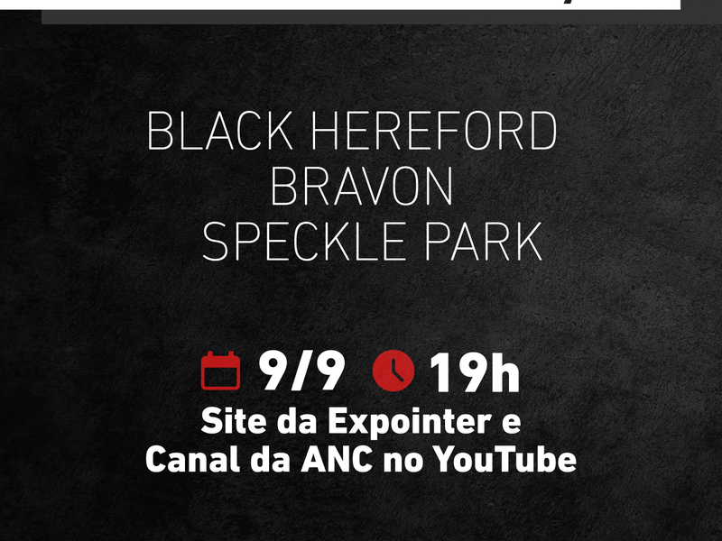 ANC realiza live com novas raças durante a Expointer