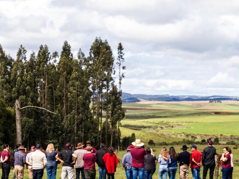 1º Encontro Nacional de Criadores de Red Poll acontece em SC