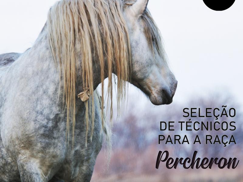 ANC seleciona novos técnicos para a raça Percheron