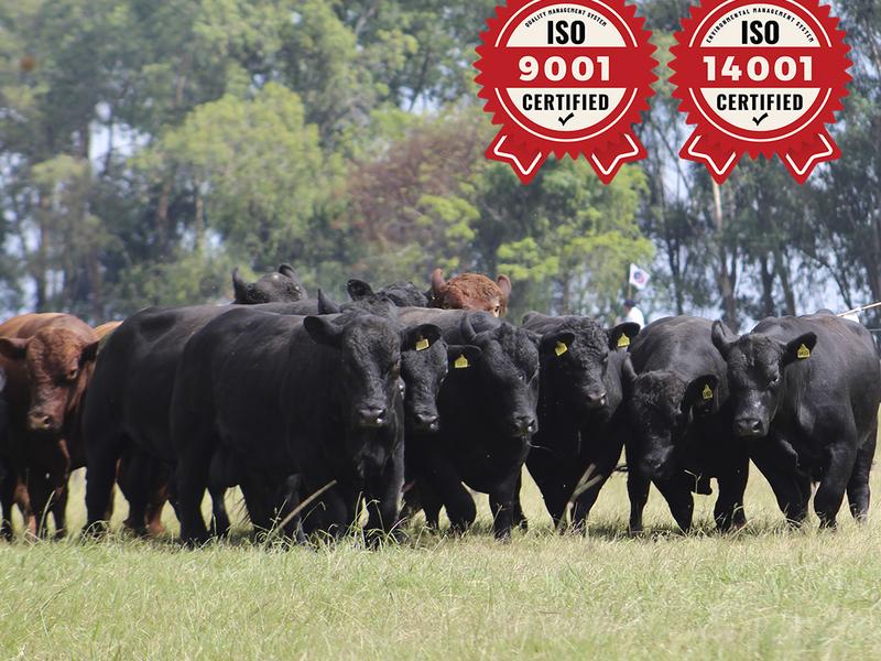 ANC trabalha para garantir sustentabilidade no agronegócio