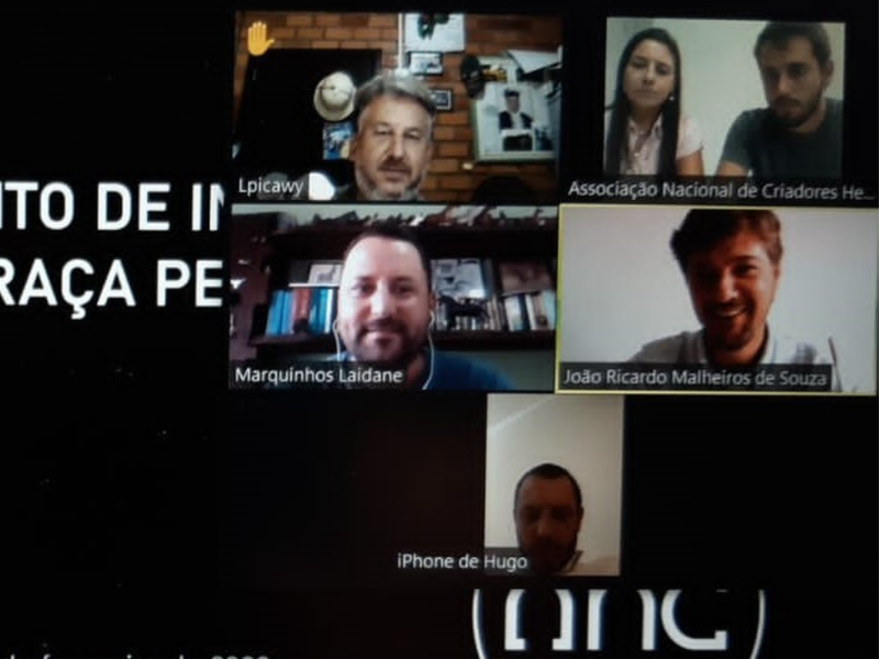 Inspetores técnicos da raça Percheron são credenciados
