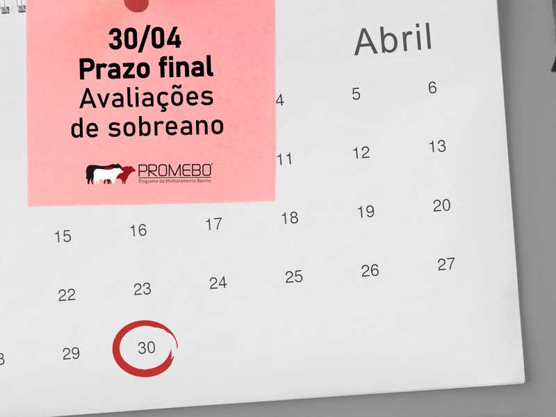 Prazo para envio de avaliações de sobreano ao Promebo encerra em 30 de abril