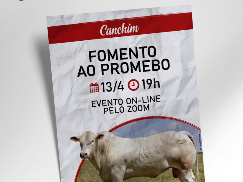 ANC realiza evento para o fomento do Promebo entre criadores de Canchim