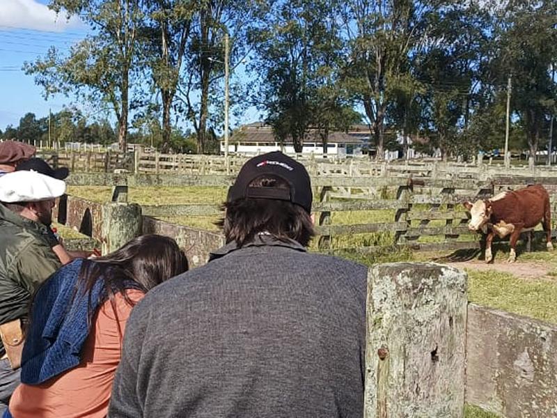 Avaliadores do Promebo participam de reciclagem em Arroio Grande (RS)