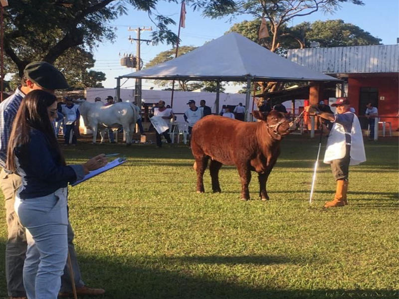 ANC participa da Expoingá no Paraná