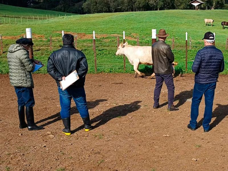 Inspetores técnicos da Charolês passam por reciclagem