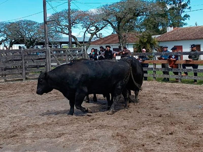 Análise de dados ganha força nos julgamentos