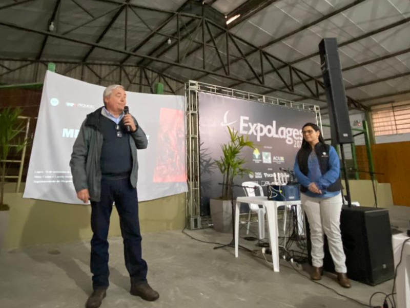 Promebo ganha força na seleção de bovinos em SC
