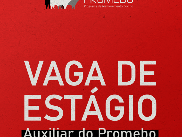 Promebo abre vaga de estágio em Pelotas (RS)