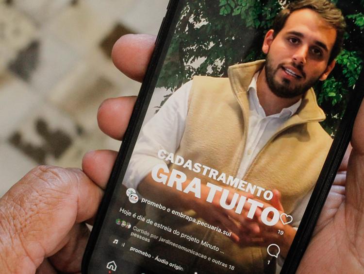 Promebo e Embrapa lançam série de vídeos sobre melhoramento genético
