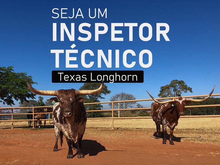 ANC abre seleção para inspetores técnicos da raça Texas Longhorn