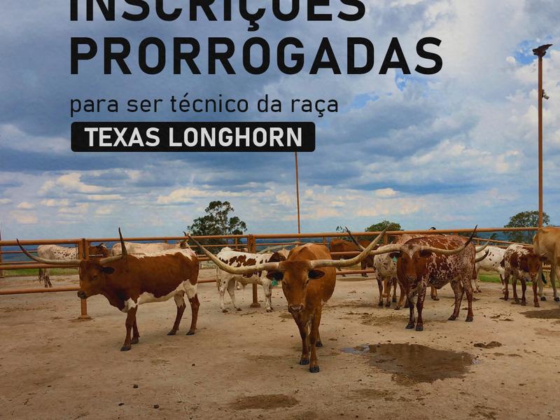 Prorrogadas as inscrições para processo seletivo de técnicos da raça Texas Longhorn