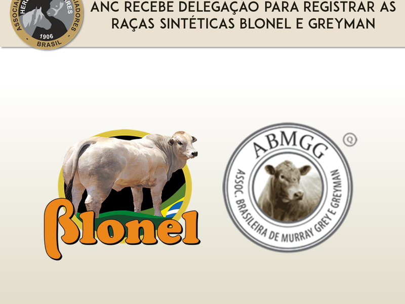 ANC recebe delegação para registrar as raças sintéticas BLONEL e GREYMAN