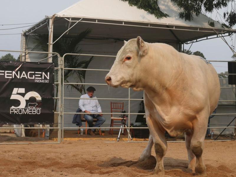 Fenagen Promebo já tem data marcada para a sua segunda edição