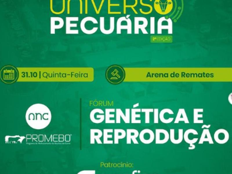 Seminário no Universo Pecuária vai orientar criadores sobre cruzamentos e melhoramento genético