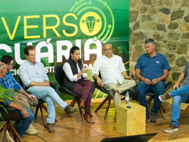 Especialistas debatem importância do melhoramento genético para aumentar lucro no campo