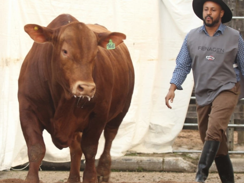 ANC abre inscrições para a segunda edição da Fenagen Promebo