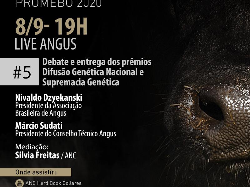 Angus participa de live promovida pela ANC no dia 8/9