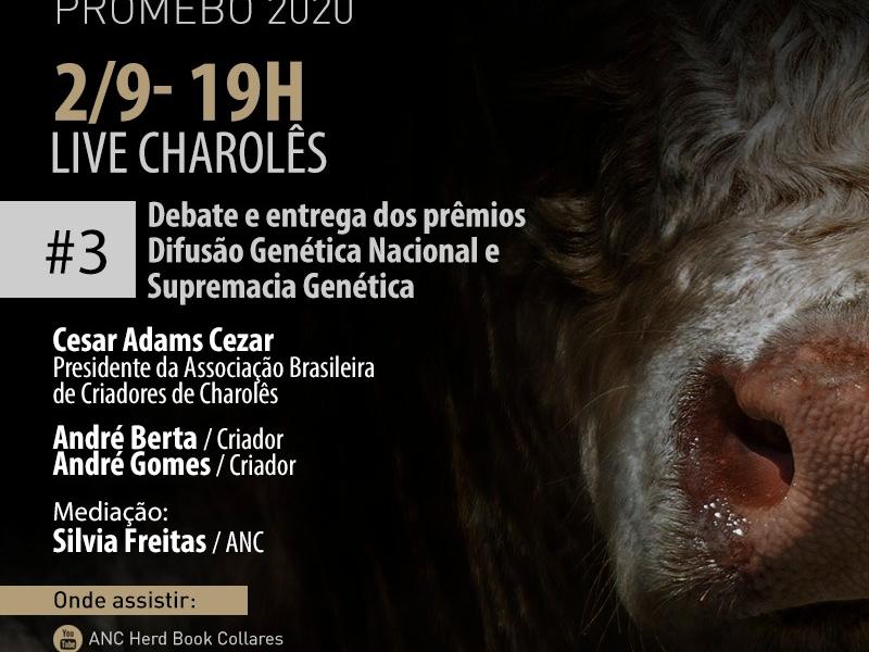 Charolês é foco de live nesta quarta-feita