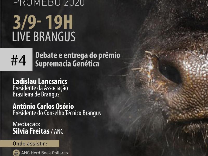 Quinta-feira é dia do Brangus nas redes da ANC