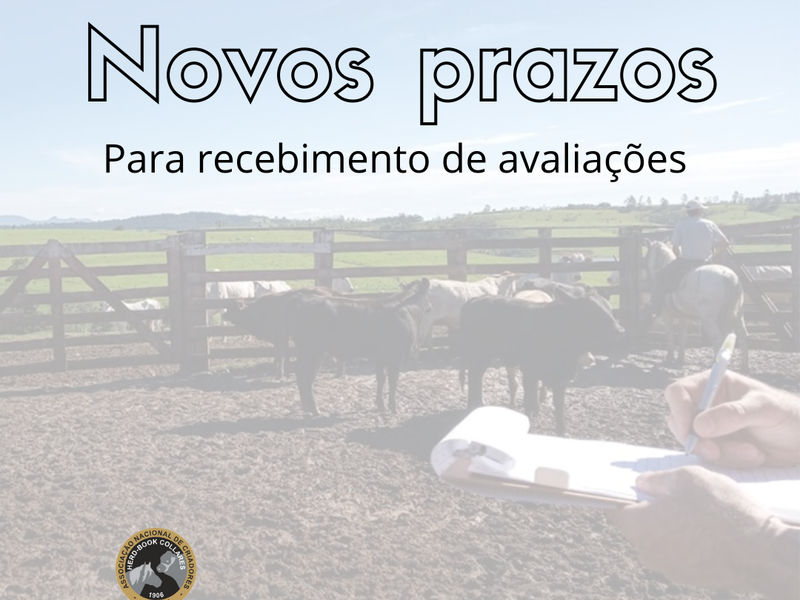 Novos prazos