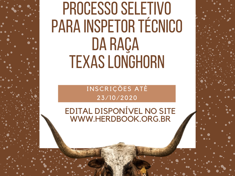 ANC abre inscrições para o processo seletivo de inspetores técnicos da raça Texas Longhorn