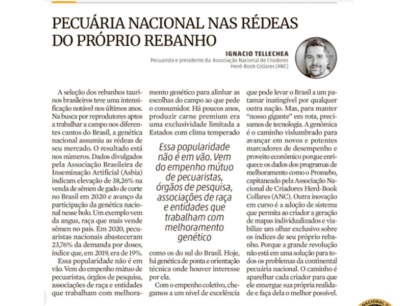 Pecuária nacional nas rédeas do próprio rebanho