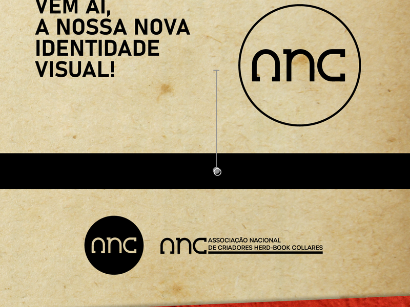 ANC apresenta nova identidade visual