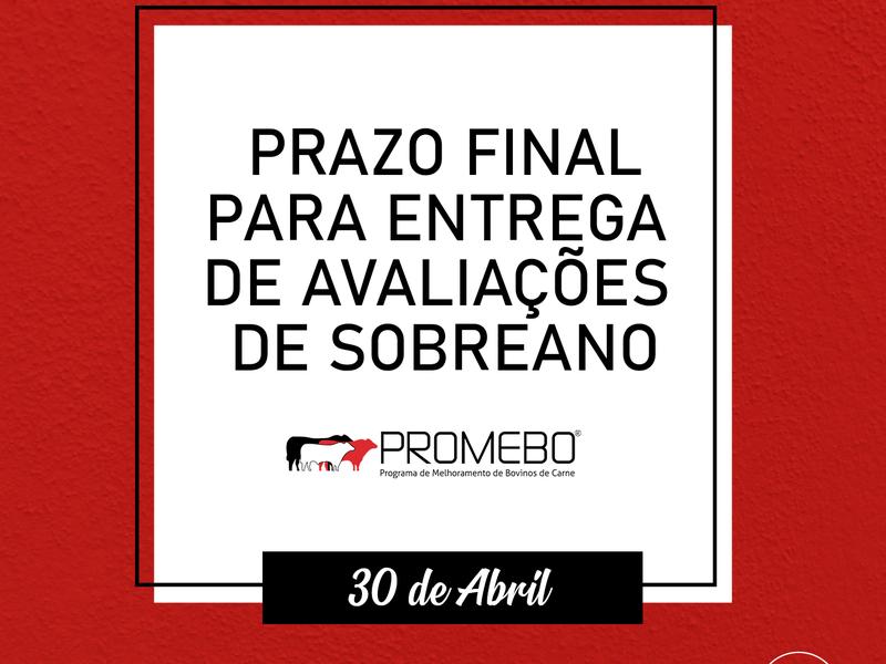 Avaliações de sobreano ao Promebo podem ser enviadas até 30 de abril