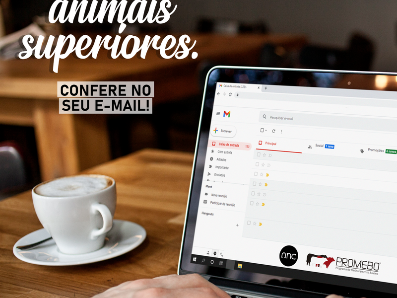Promebo antecipa divulgação de lista de animais Superiores