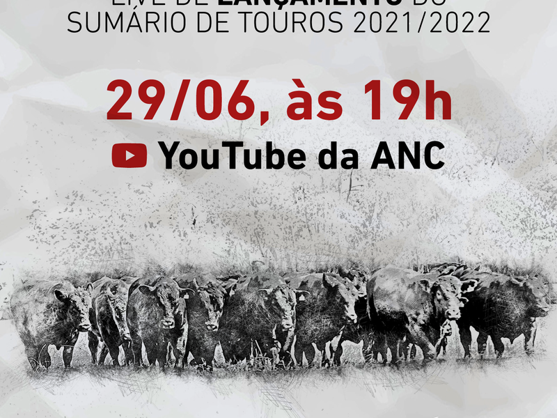 Sumário de Touros ganha versão digital