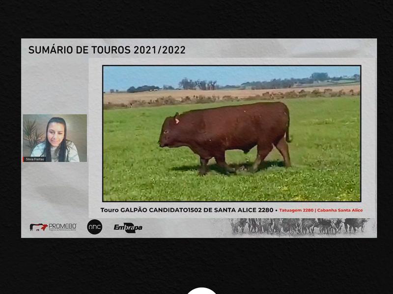Santa Alice e Saudade vencem Supremacia Genética 2021