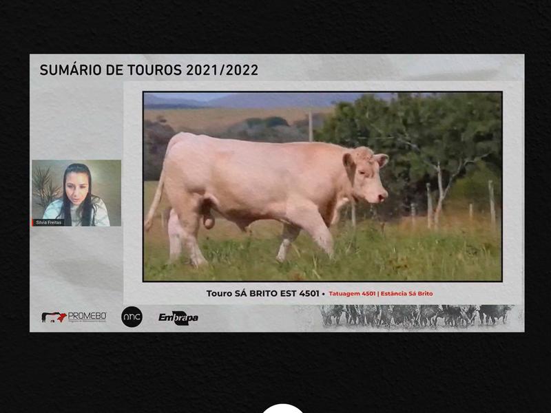 Sá Brito e Tarumã lideram no Charolês