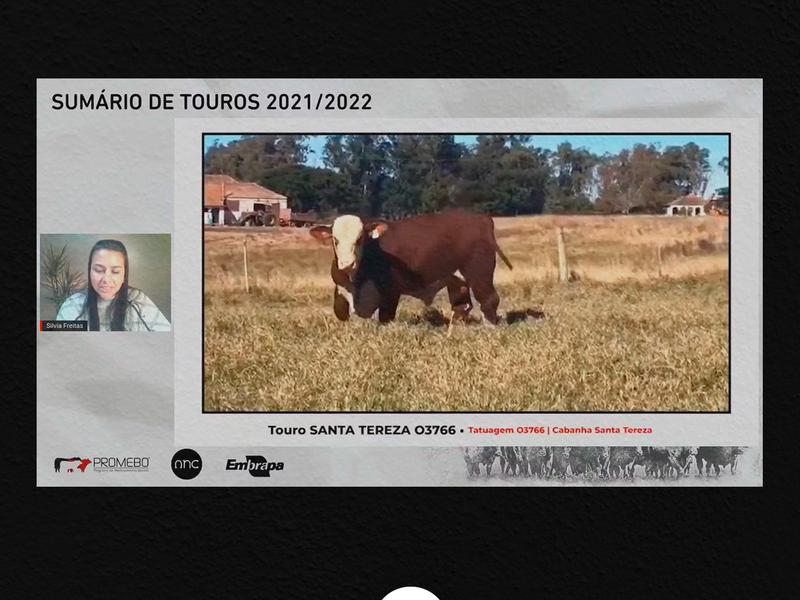 Cabanhas Santa Tereza, Touro Passo e Santa Angélica vencem o Supremacia Genética 2021